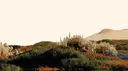 Resolv banner