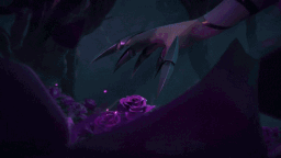 ✩ The Coven ✩ server banner