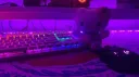 Gudys^store   - #500 banner
