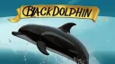 BLACK DOLPHIN banner