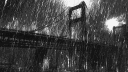 Yvng | Gvng   (closed) banner