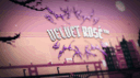 ⭐ Velvet ROSÉ™ | Indian Community • Northeast • Nepal • Social • Chill • VC • Gaming • Active Discord server banner