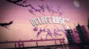 ⭐ Velvet ROSÉ™ | Indian Community • Northeast • Nepal • Social • Chill • VC • Gaming • Active Discord server banner