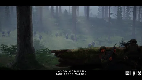 Havok Company banner