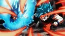 dbl accounts server banner