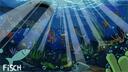 Fisch Banner