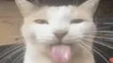 The Uncancelables Discord server banner