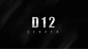 D12 banner