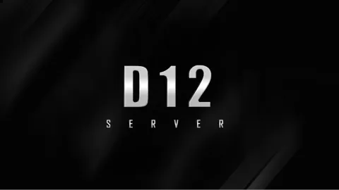 D12 banner