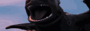 SREBOT#6746 banner