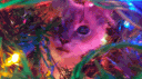 The Cat Cave Discord server banner