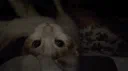 The Cat Cave server banner