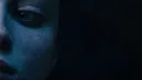 Nellie banner
