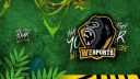 WeSports Clash Royale banner