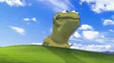 C/ banner