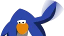 Domingo banner