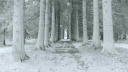 /copy banner