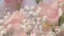 ♡ Cupids Room ♡ banner