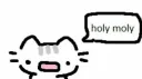 . - ‘ • somewhere _* + , banner