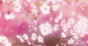 🌷Floral Cave • Advertise • Hangout Discord server banner