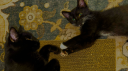 Katzenwald :) server banner