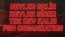 PSH GLOBAL ORGANIZATION banner