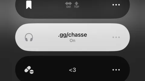 / chasse ✧ boost us ! banner