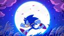 Sonic Speed Zone  Banner