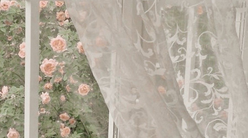 Rat Land 🎀 Discord server banner