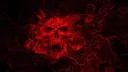 ❪BDA❱ Bonde do Aranha banner