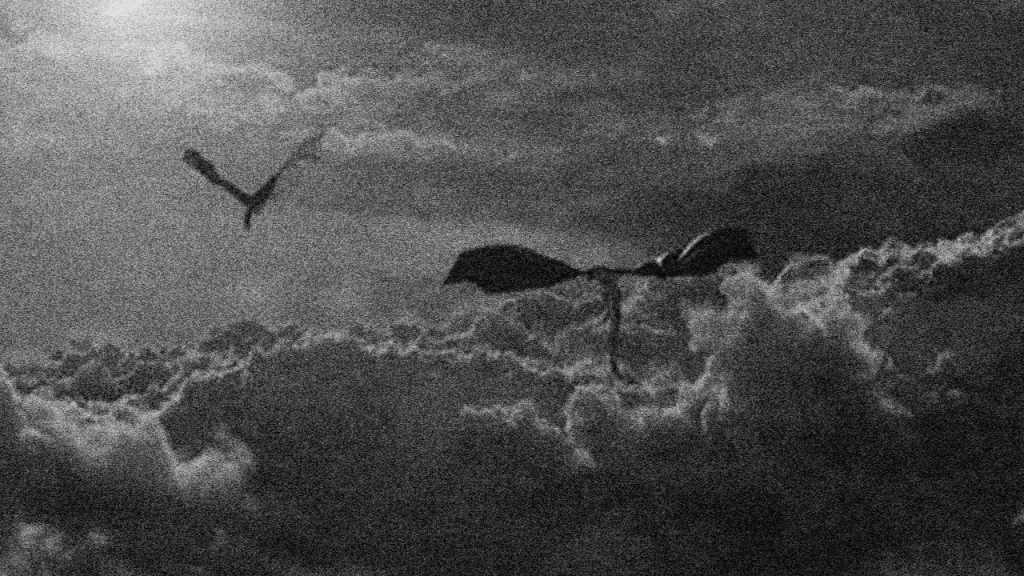 𝖆𝖘𝖔𝖎𝖆𝖋 - 𝐀 𝐆𝐀𝐌𝐄 𝐎𝐅 𝐒𝐓𝐄𝐄𝐋 𝐀𝐍𝐃 𝐅𝐑𝐎𝐒𝐓 Discord server banner