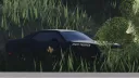 SD┃California Highway Patrol banner