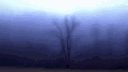 @sneak #priv banner