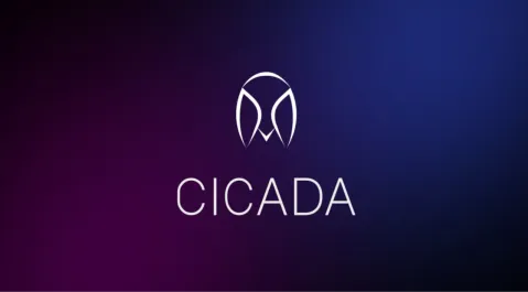 Cicada Discord server banner