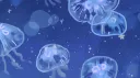 ⋆mia's disciples₊✧ Discord server banner