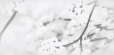 bewitched | social | active <3 ⋆˚꩜.ᐟ server banner