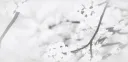bewitched | social | active <3 ⋆˚꩜.ᐟ Discord server banner