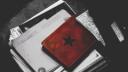 # ˙    /𝓑𝘶𝘤𝘬𝘺 𝓑𝘢𝘳𝘯𝘦𝘴 Banner