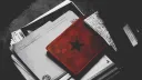 𔘓   ֹ  𝘽𝙪𝙘𝙠𝙮'𝙨 𝙎𝙚𝙧𝙫𝙚𝙧 𓂅 ̼ banner