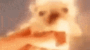 𝓟𝓵𝓪𝓬𝓮𝓲𝓷𝓹𝓮𝓻𝓾𝓧 20𝒦 banner