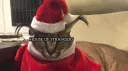 House of Strangers 18+ server banner