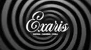 ⋆˚ ৎ exaris゛ server banner