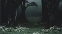 #14àддиķшён banner