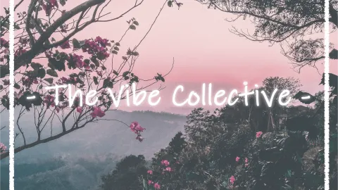 『The Vibe Collective』- Free Weed Tag banner