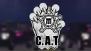 Counter Assault Team I CAT banner