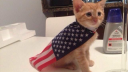 Milo pooookiessss (2.0) Discord server banner