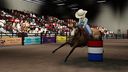 Roughstock Rodeo Association Banner