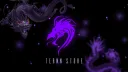 TerNN Store banner