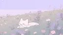CatsByDaylight banner