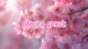 ★𝓢𝓪𝓴𝓾𝓻𝓪 𝓖𝓻𝓸𝓿𝓮☆ banner